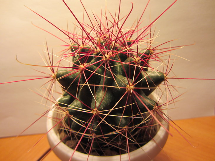 6)