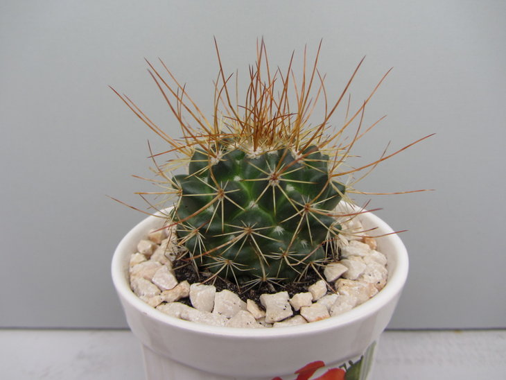 4)