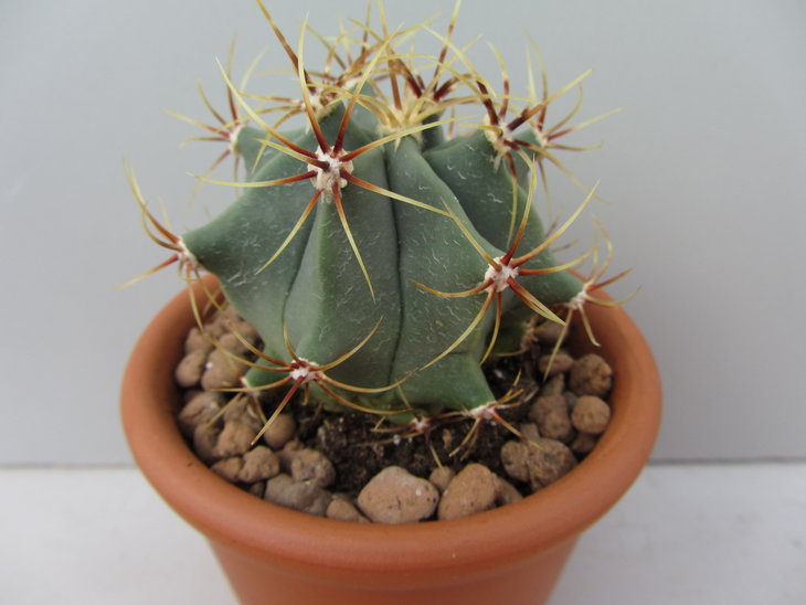 2)