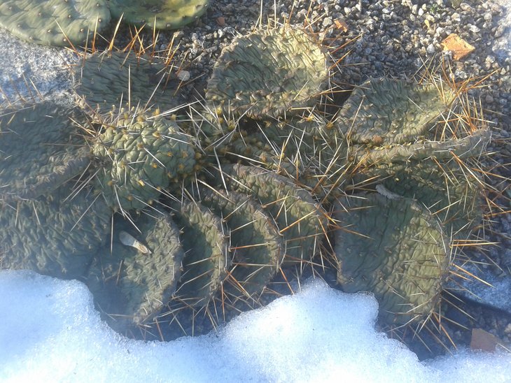 20160212_151520.jpg