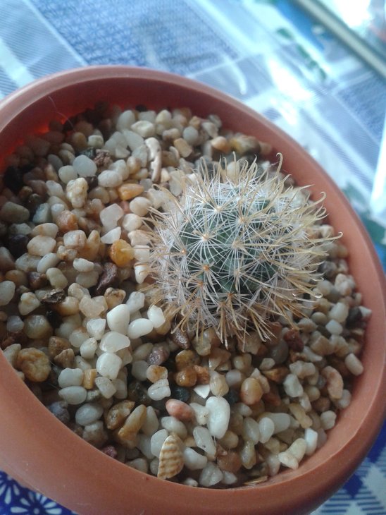 20160212_103614.jpg