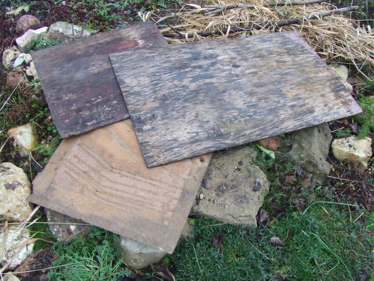 DSCF4507.JPG
