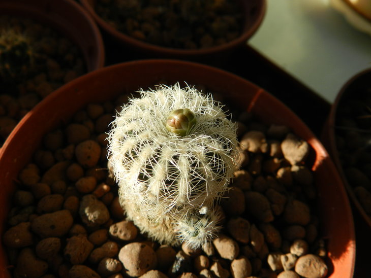 DSCN7449.JPG