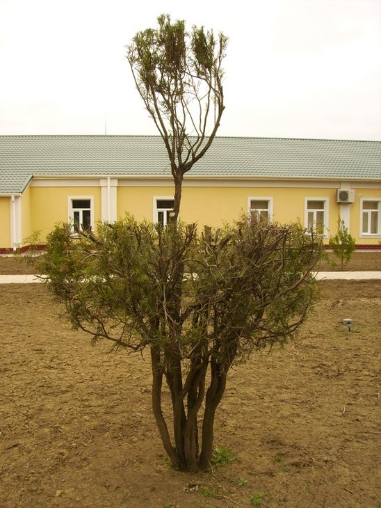 Чупа-чупт В 2013.04.08.JPG