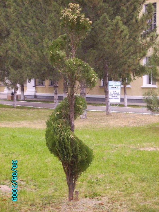 Спираль 2009.09.30 Ю-З.JPG