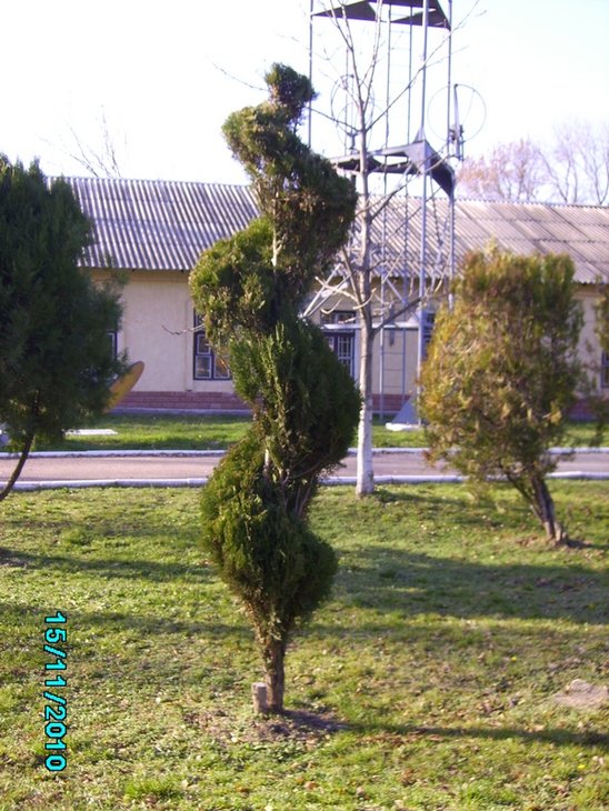 Спираль 2010.11.15 В.JPG