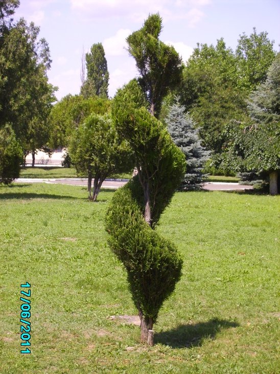 Спираль Ю 2011.06.17.JPG