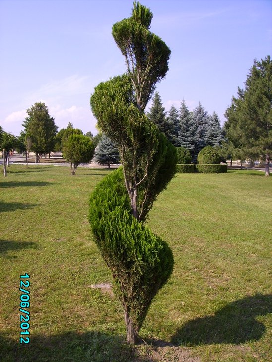 Спираль Ю 2012.06.12.JPG