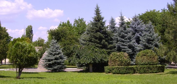 Пасочки Ю панорама 2011.06.17.JPG