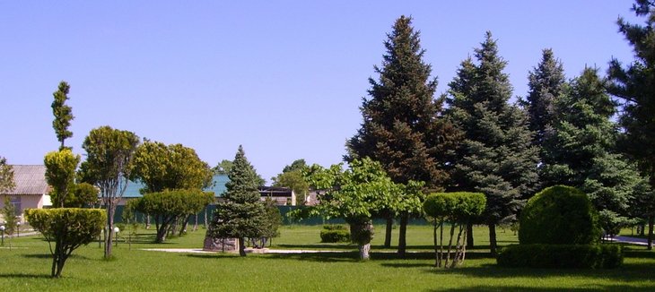 Пасочки Ю панорама 2014.05.08.JPG