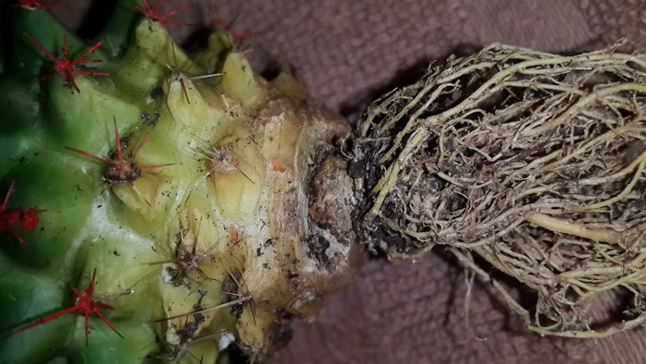 20160220_133712.jpg
