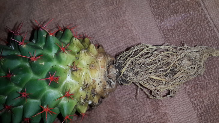 20160220_133706.jpg