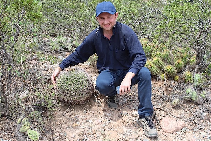 Дмитрий Рехсан и Gymnocalycium saglionis