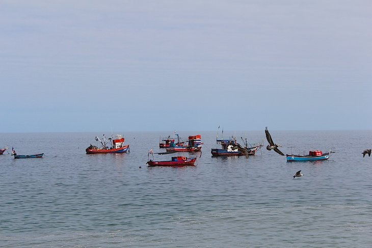 Iop_7108.JPG