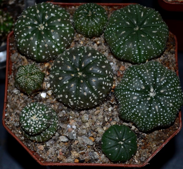 DSC_0263.jpg