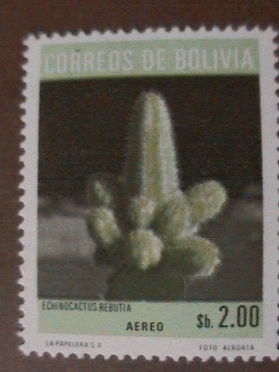 DCAM0091.JPG