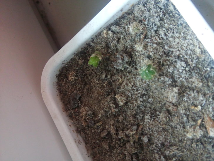 20160219_113853.jpg