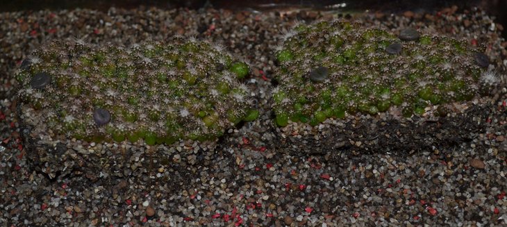 DSC_0353.jpg