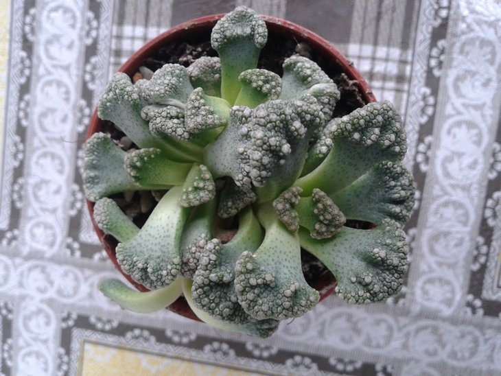 20160308_125430.jpg