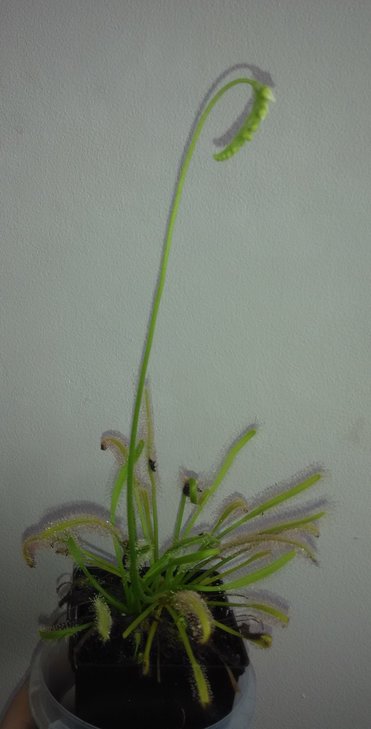 IMG_20160309_171959.jpg