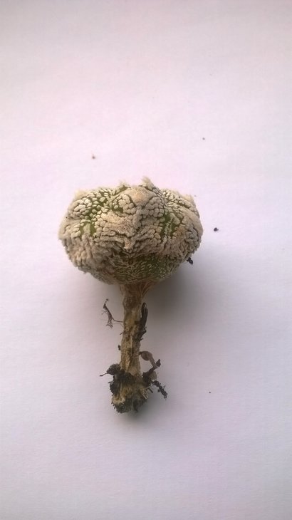 WP_20160309_002.jpg