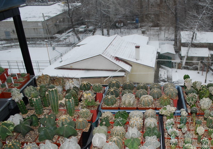DSC_5051   21 марта 2016 г.jpg