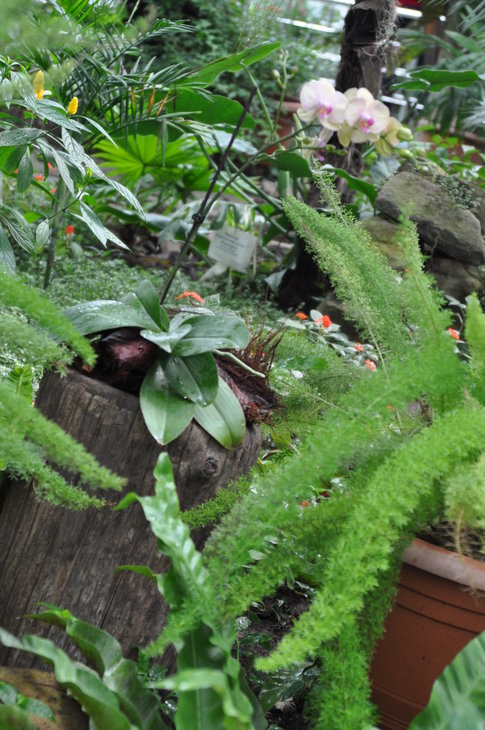 DSC_0409.jpg