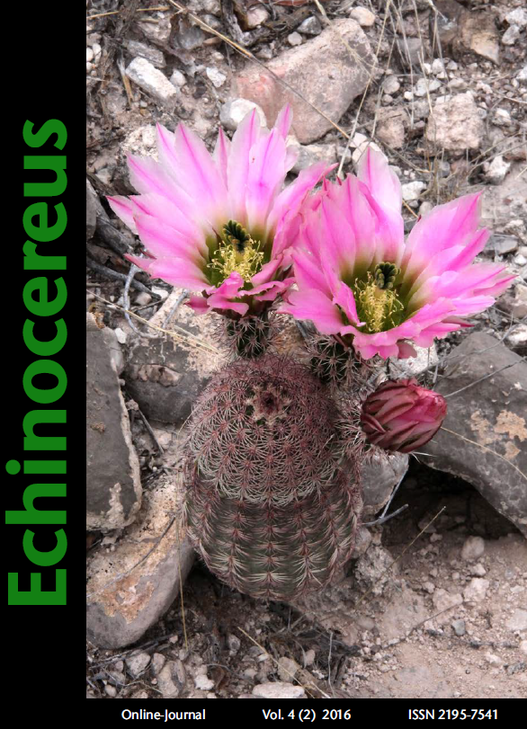 Echinocereus_2-2016.png