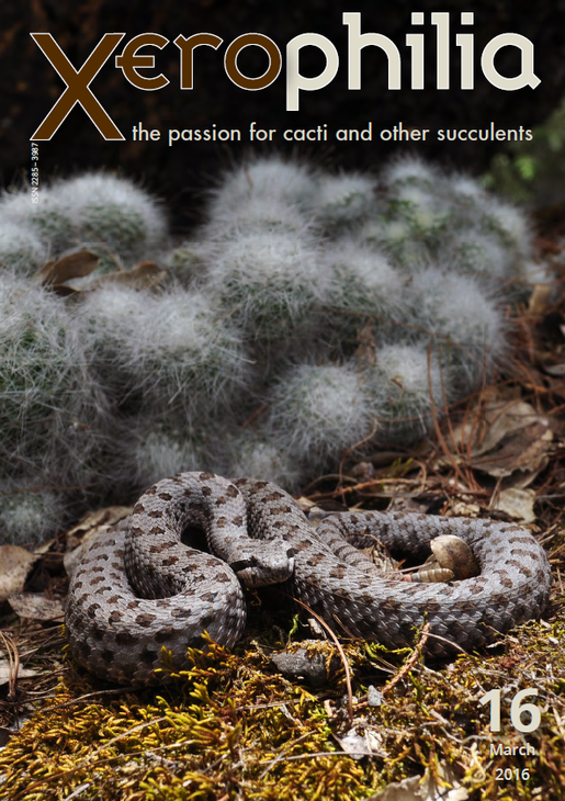 Xerophilia16.png