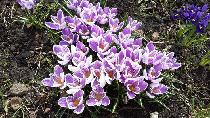 20160401_114047.jpg