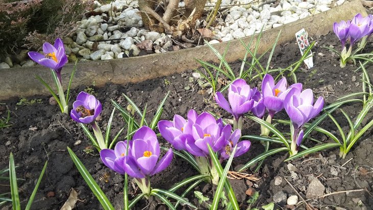 20160401_095749.jpg