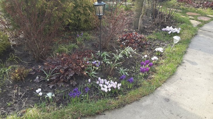 20160401_095816.jpg
