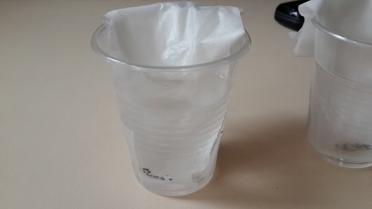 20160320_111418.jpg