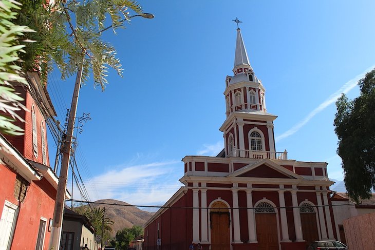 Vicuna