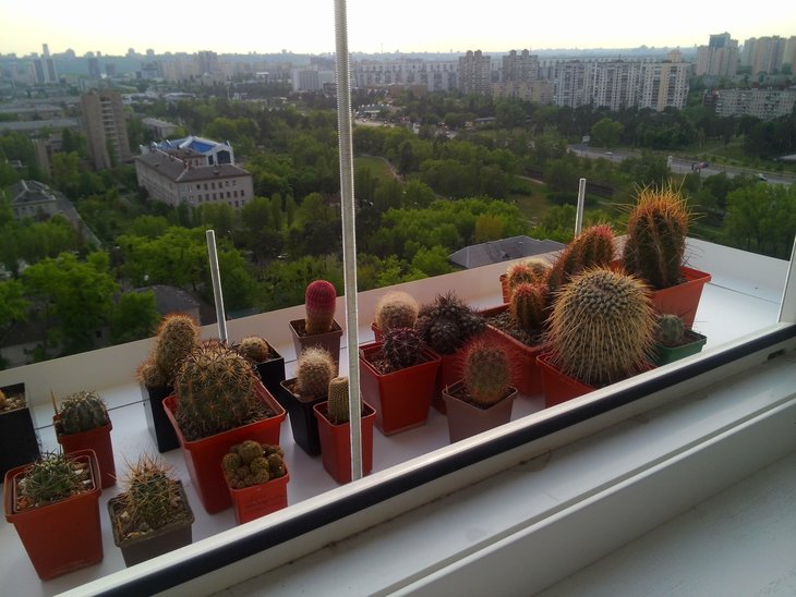 Еще вправо, крупнее.