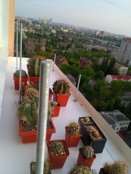 Левый ракурс.
