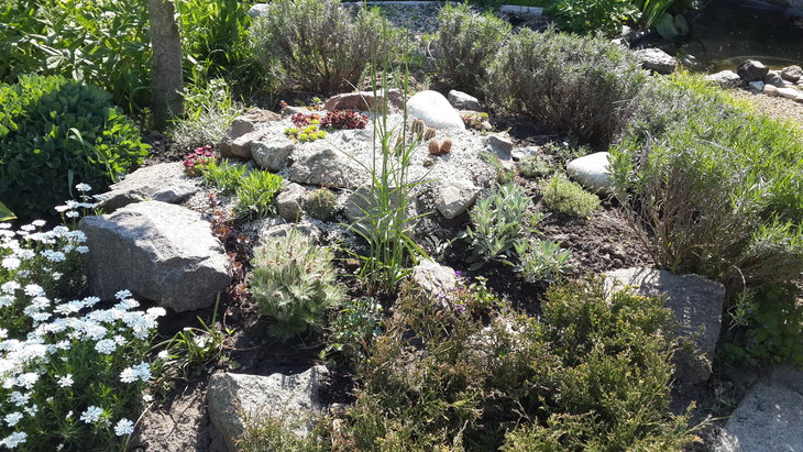 20160505_094421.jpg
