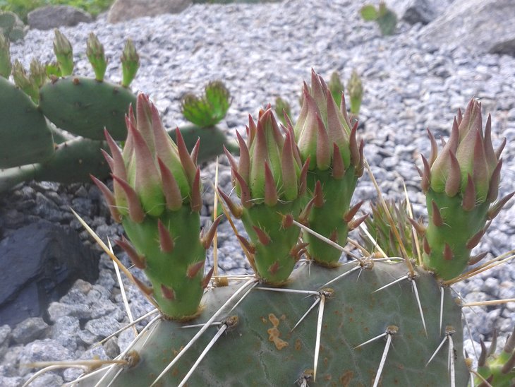 20160529_120029.jpg