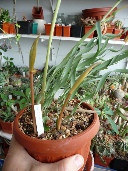 P1210900_900.jpg