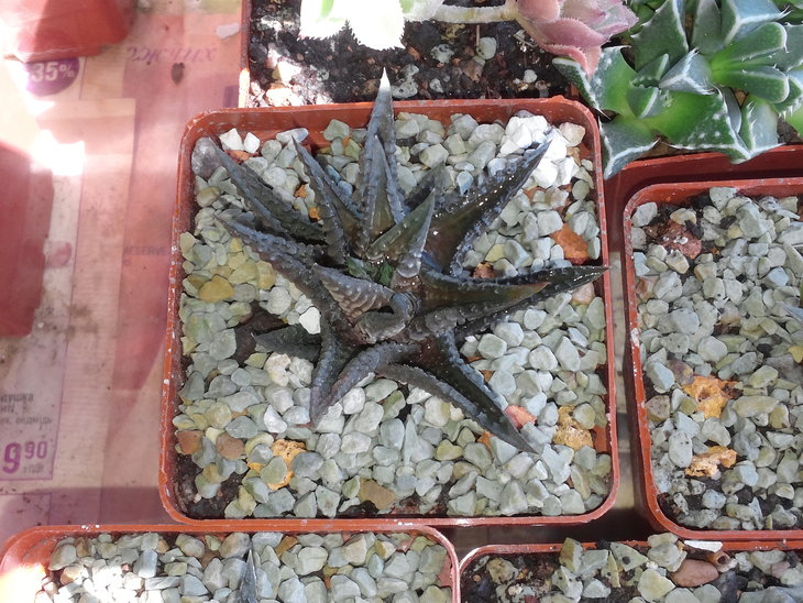 CAM02140.jpg