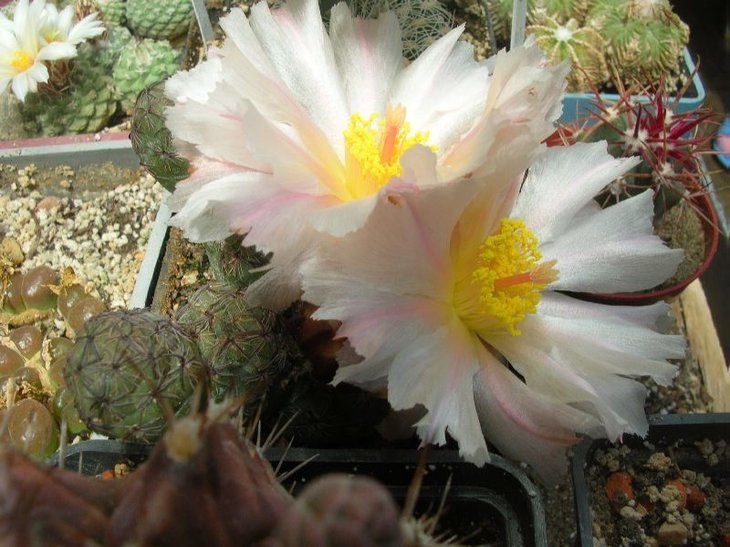 DSCN8398.JPG
