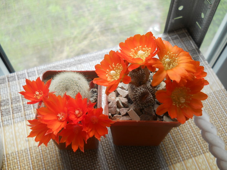 DSCN5072.JPG