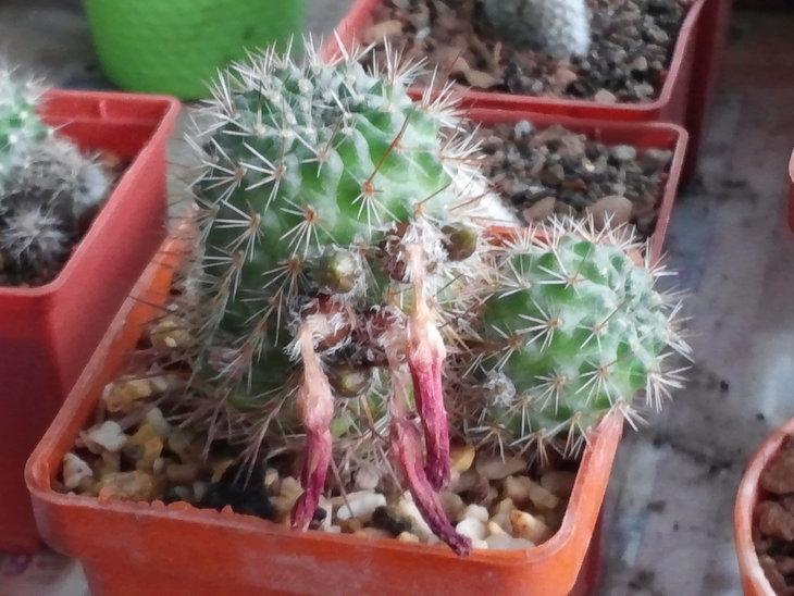 CAM02179.jpg