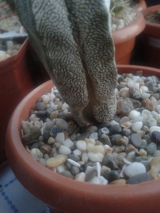 20160617_203332.jpg