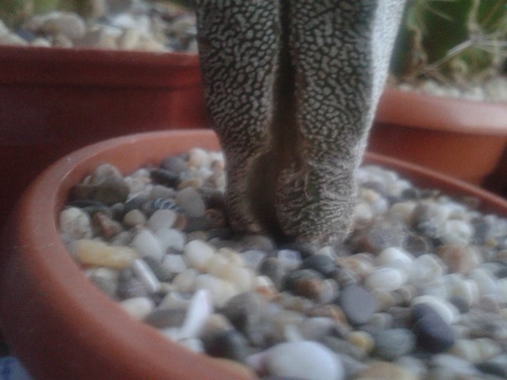 20160617_203345.jpg