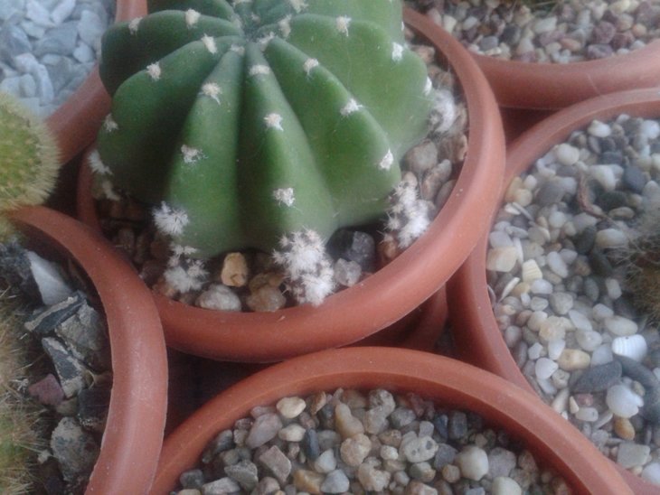 20160617_203434.jpg