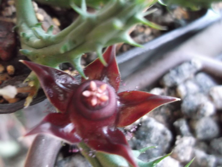 DSCF4688.JPG