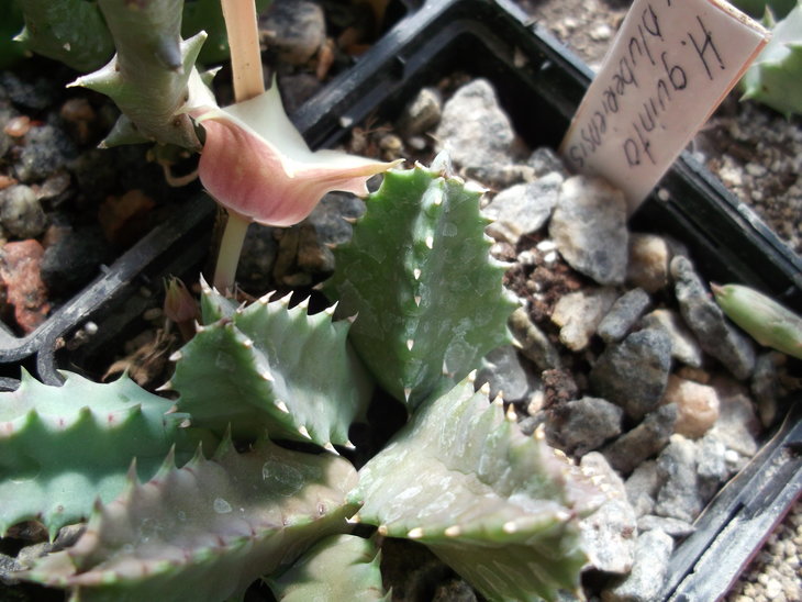 DSCF4692.JPG