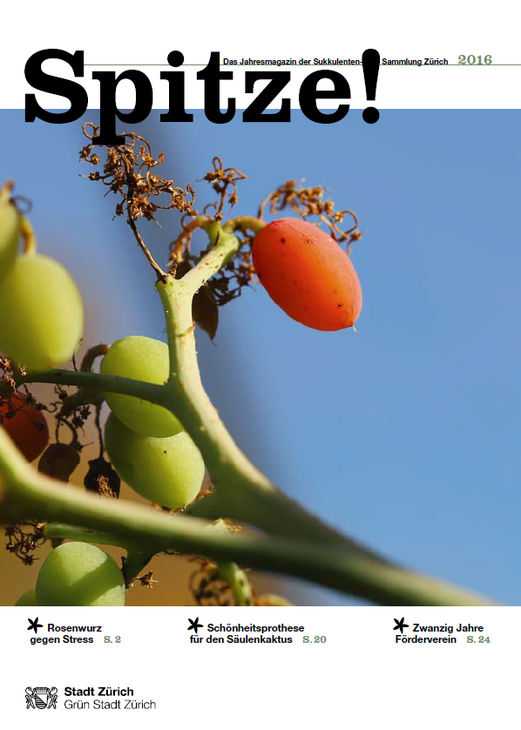 Spitze.png