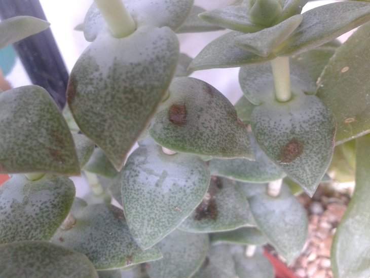 20160715_145929.jpg